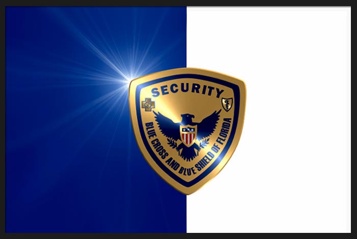 BCBS FL Security